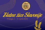 Odabrani su izvođači večeri novih tamburaških pjesama festivala &quot;Zlatne žice Slavonije - Požega 2023.&quot;