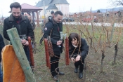 Kaptolčani zarezivanjem trsova proslavili Vincelovo