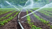 Ublažavanje posljedica suše: 17 sustava navodnjavanja ukupno vrijednih 666 milijuna kuna
