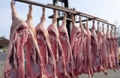 EK donijela pozitivnu odluka za Hrvatsku: omogućena trgovina svježim mesom i svinjokolja