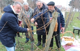 Udruga &quot;Vino-kap&quot; u Kaptolu organizirala tradicionalno Kaptolačko Vincelovo uz orezivanje i blagoslov pokaznog vinograda