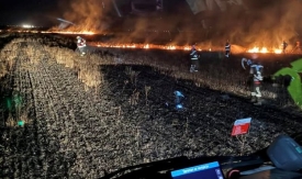 Požar otvorenog prostora u Novim Bešincima i pronalazak ručne bombe na tavanu u Prekopakri