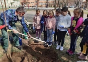 Kempfovci se uključili u Akciju &quot;Zasadi drvo, ne budi panj&quot;