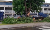 Nevrijeme poslije ponoći zahvatilo sjeverozapadnu i istočnu Hrvatsku - Požeško-slavonska županija bez šteta