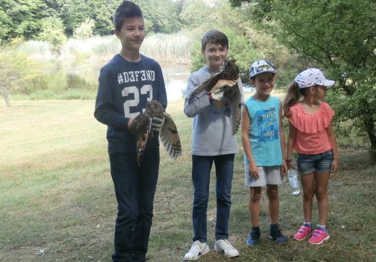 Povratak mladih sova ušara u prirodu na Sovskom jezeru