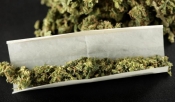 Kod 23-godišnjaka s područja općine Velika u pretrazi obiteljske kuće pronađena marihuana