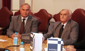 Požeški zapisi: osvrti, kritike i eseji