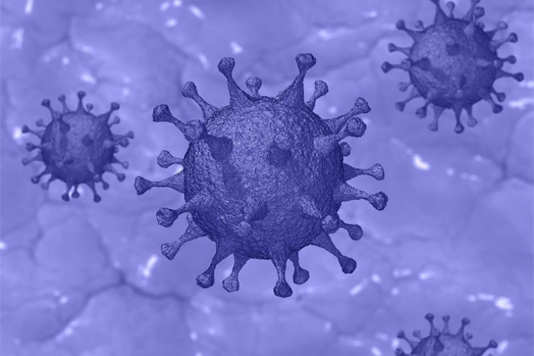 Hrvatska bilježi 655 novih slučajeva zaraze korona virusom uz 6 preminulih osoba od Covid 19