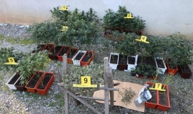 Kod 42-godišnjaka na području Požege pronađen laboratorij s opremom za proizvodnju droge tipa konoplje