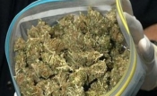 U Požegi u obiteljskoj kući pronašli preko 60 grama marihuane