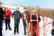 Prvim rezovima i blagoslovom trsova krenuli u novu vinogradarsku godinu