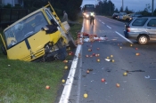 Teška prometna nesreća u Veseloj zbog jazavca