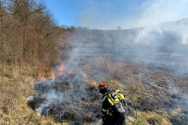 62-godišnjak spaljivao travu, granje i otpad pa mu se požar nekontrolirano proširio na susjedne parcele