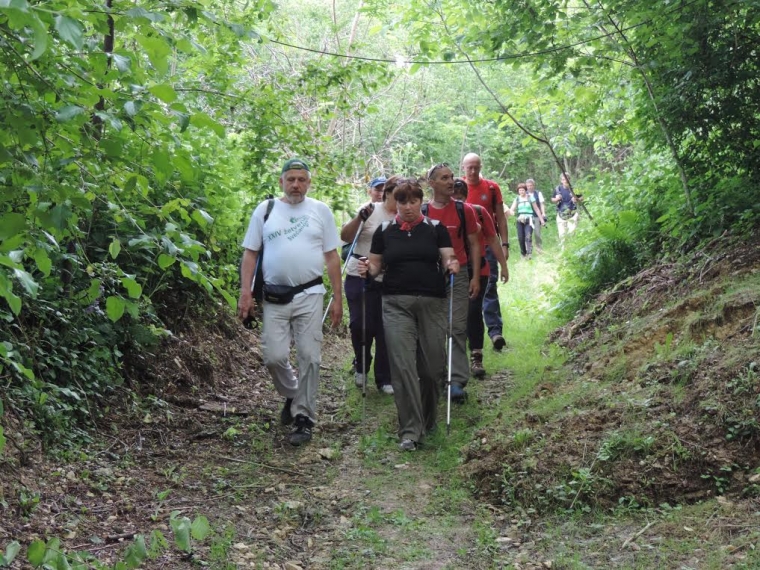 Otvoreno sklonište "Točkica" na Psunju