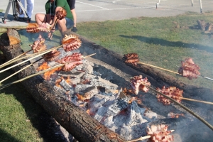 9. Festival slanine i vina &quot;Slanvin&quot; Kaptol 2025. donio nove šampione &quot;slaninske ruže&quot; i kvalitetnih vina