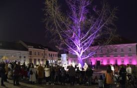 Grad Požega obilježit će Međunarodni dana svjesnosti o prijevremenom rođenju 17. studenog predstavom &quot;Palčica&quot; kod ginka