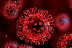 Hrvatska u 24 sata bilježi novih 2.698 pozitivnih osoba na korona virus uz 44 preminule osobe od Covid 19