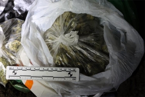 Pritvoren dvojac osumnjičen za neovlaštenu proizvodnju i promet drogama te omogućavanje trošenja droga
