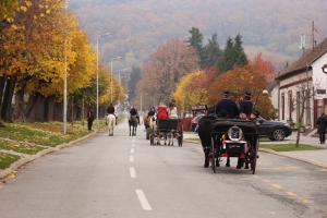 Uskoro počinje ovogodišnja proslava Martinja u Kutjevu
