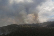 HVZ izvještava o brojnim požarima na priobalju i u Parku prirode Kopački rit