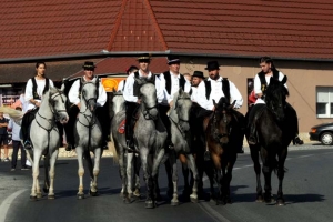 Jakšički folkloraši ugostili sedam društava i prikazali baštinu svojih krajeva