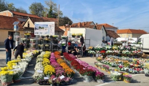 Od danas, ponedjeljak 28. listopada započinje prodaja cvijeća na prostoru parkirališta iza Gradske kuće Požega
