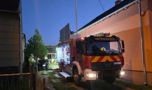 Dva požara, jedan na otvorenom prostoru a u pokušaju da zapali gnijezdo osa izazvao požar na sijenu i dvorišnoj zgradi