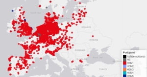 Potvrđen slučaj visokopatogene influence ptica podtipa H5N1 u labuda na vinkovačkom području u Vukovarsko-srijemskoj županiji