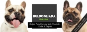 Buldogijada stiže u Požegu