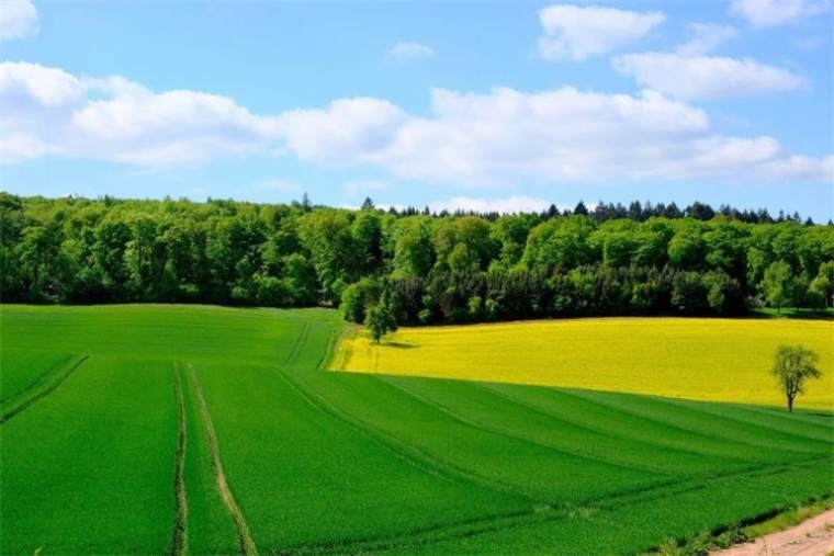 Ministarstvo poljoprivrede se zalaže za smanjenje korištenja pesticida i uvažavanje različitih startnih pozicija država članica