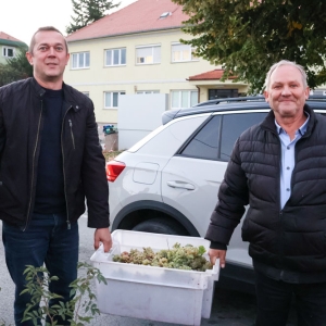 Zavrsetak berbe Kutjevacki vinari 2026 (30)