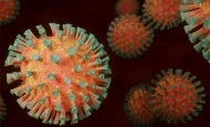 U posljednja 24 sata Hrvatska bilježi 1.874 nova slučaja zaraze virusom uz čak 17 preminulih osoba od Covid 19