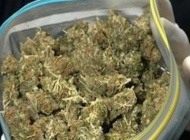 Kod 24-godišnjaka u Požegi u dopodnevnim satima pronađena marihuana