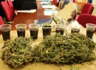 U pretrazi pronađena marihuana kod 43-godišnjaka iz Pleternice
